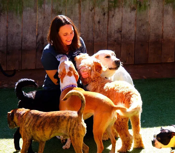 Crescent City Veterinary Hospital Picture 6