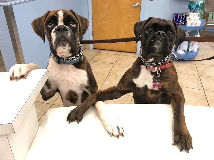Crescent City Veterinary Hospital Picture 8