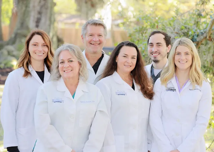 Prytania Veterinary Hospital Picture 2
