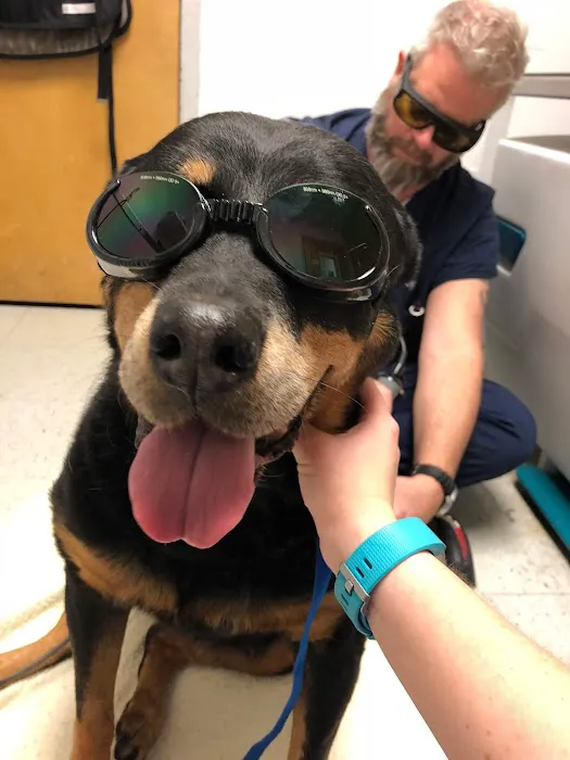 Prytania Veterinary Hospital Picture 6