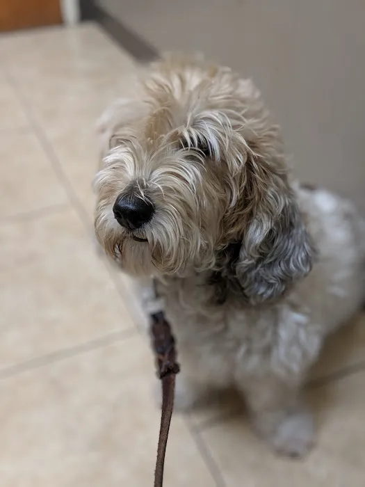 Prytania Veterinary Hospital Picture 7