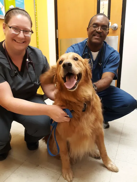 Banfield Pet Hospital Picture 3