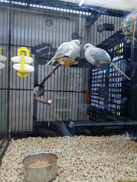 Banfield Pet Hospital Picture 8