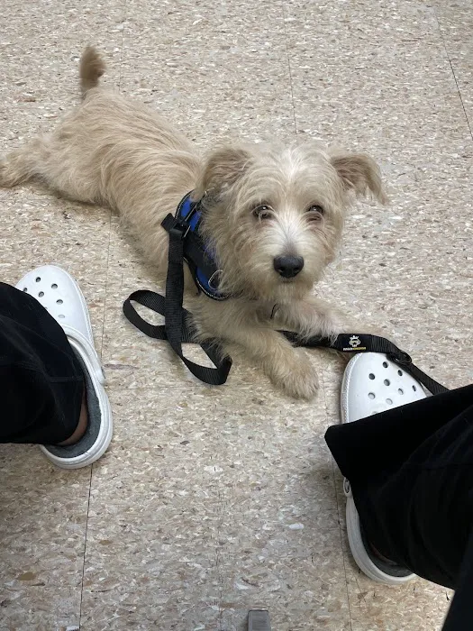 Terry Parkway Animal Hospital Picture 7