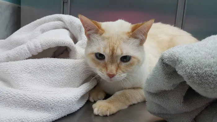 Terry Parkway Animal Hospital Picture 1