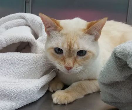 Terry Parkway Animal Hospital