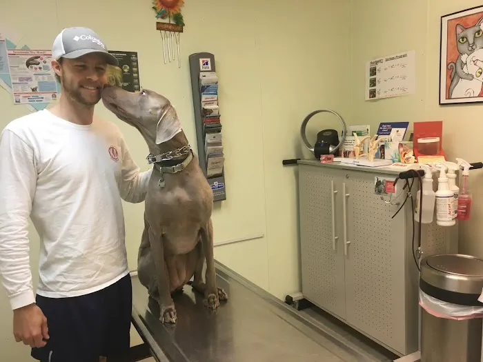 NOLA Animal Clinic Picture 8