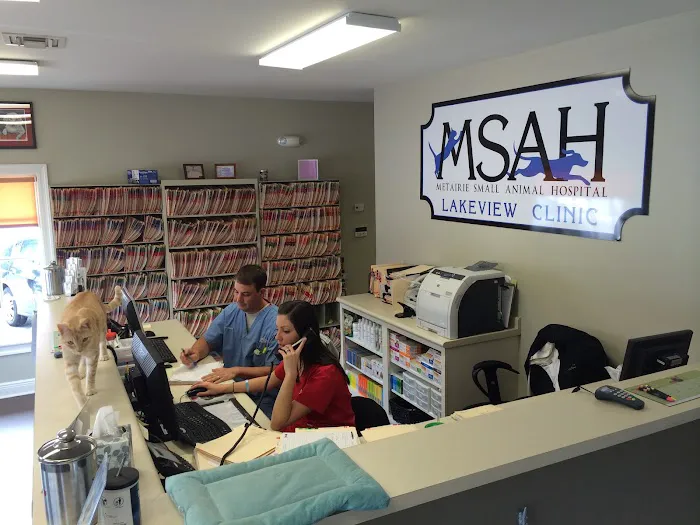 Metairie Small Animal Hospital - Lakeview Clinic Picture 9