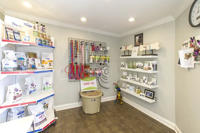 Southshore Animal Hospital Picture 6