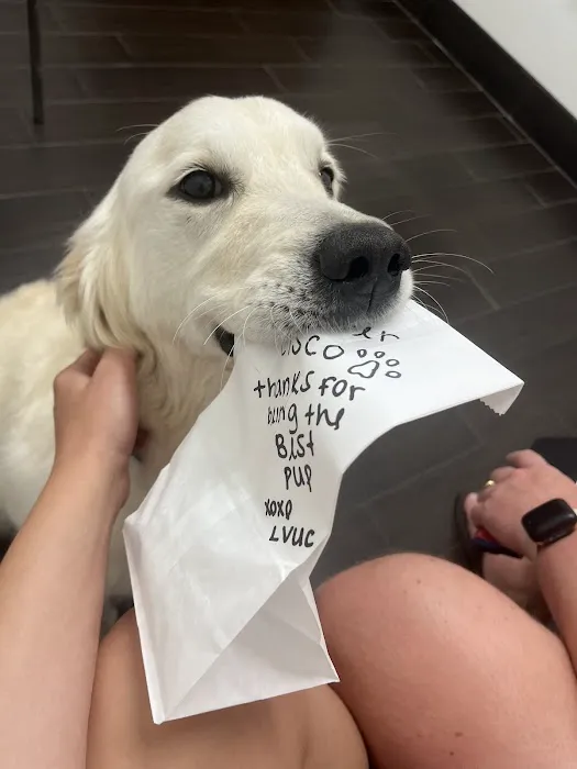 LocalVet Urgent Care Picture 5