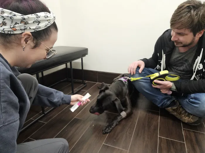 LocalVet Urgent Care Picture 6