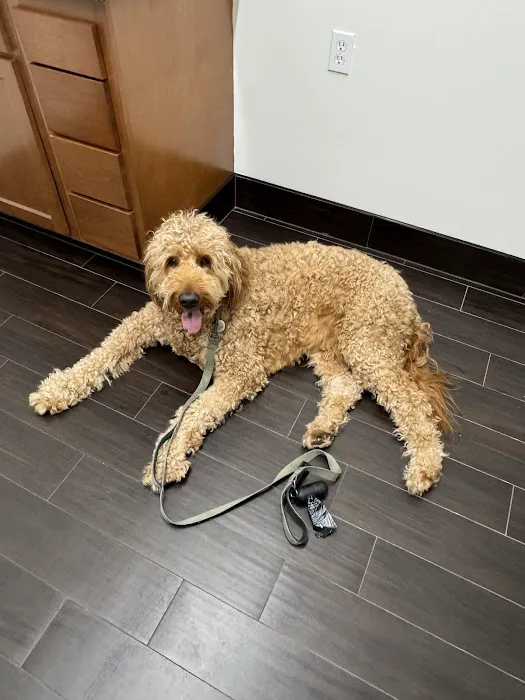LocalVet Urgent Care Picture 3