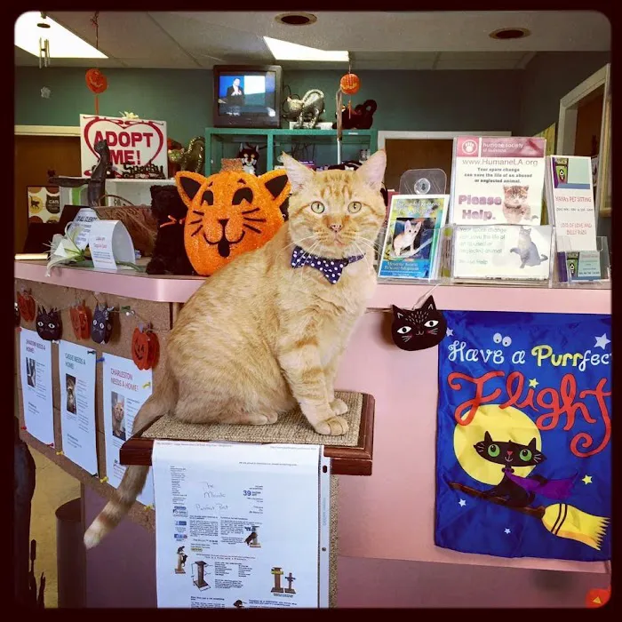 Cat Hospital of Metairie Picture 9