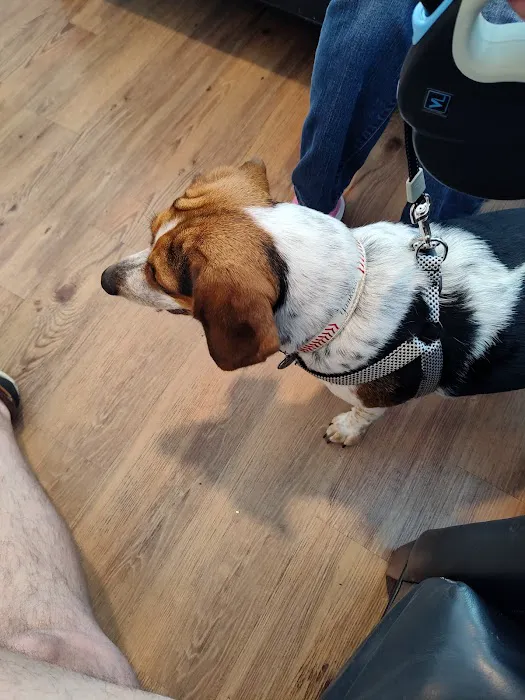Maple Small Animal Clinic Picture 3