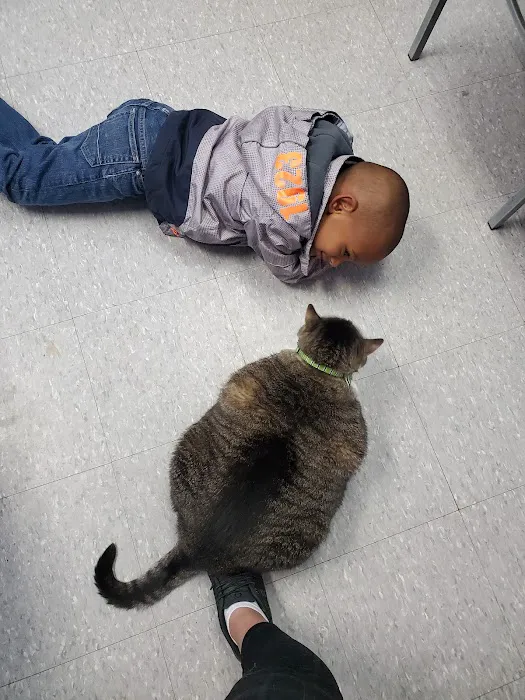 Furry Friends Animal Hospital Picture 8