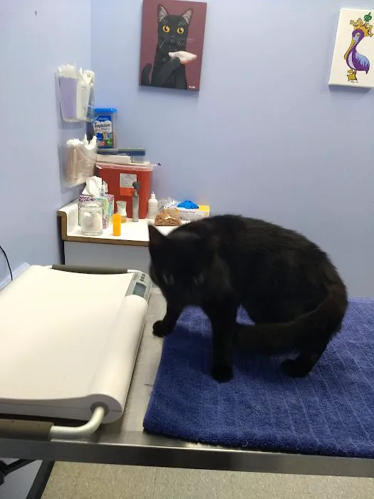 Furry Friends Animal Hospital Picture 4