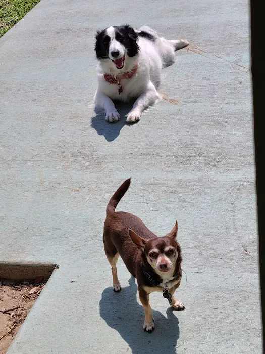 Furry Friends Animal Hospital Picture 2