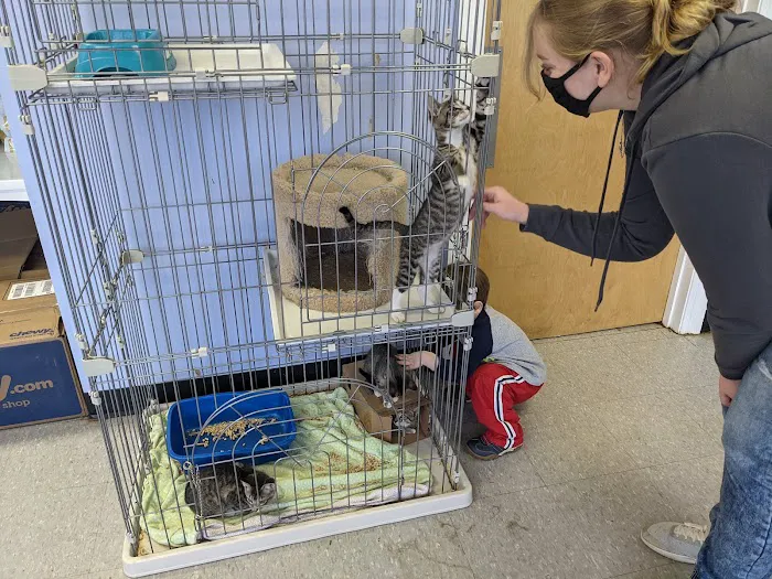 Furry Friends Animal Hospital Picture 10