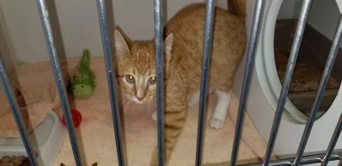 Furry Friends Animal Hospital Picture 9