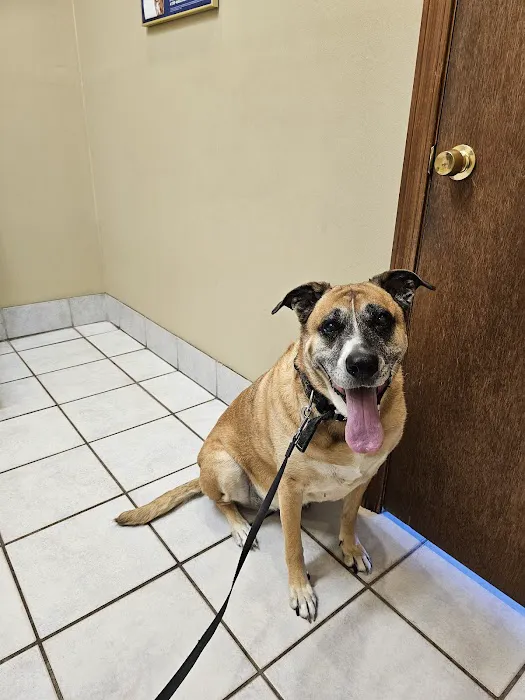 Marrero Veterinary Clinic Picture 6