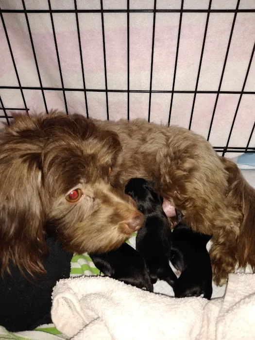 Marrero Veterinary Clinic Picture 5