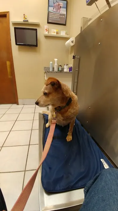 Marrero Veterinary Clinic Picture 1