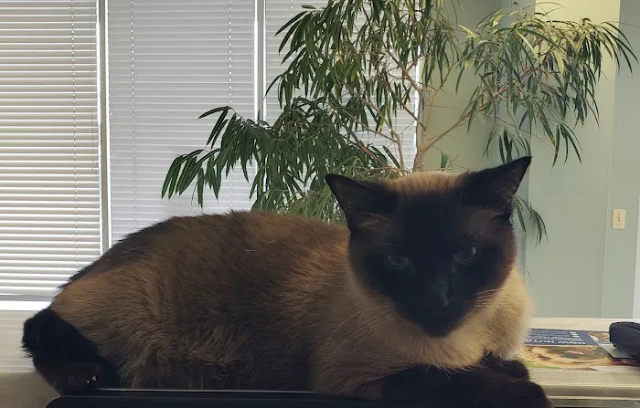 Marrero Veterinary Clinic Picture 7