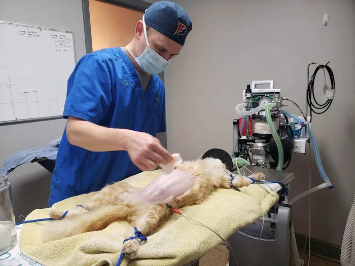 Paris Road Animal Hospital Picture 5