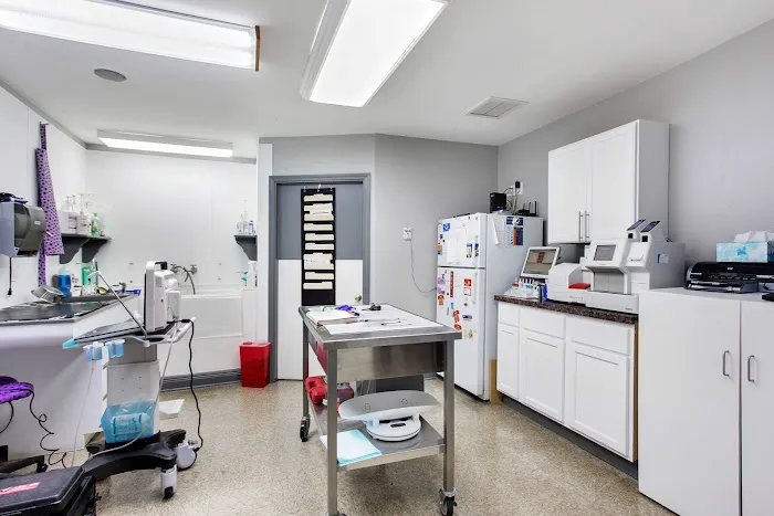 Paris Road Animal Hospital Picture 3