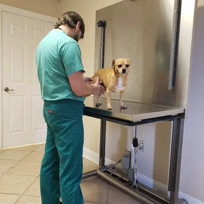 CHALMETTE PET WELLNESS Picture 10