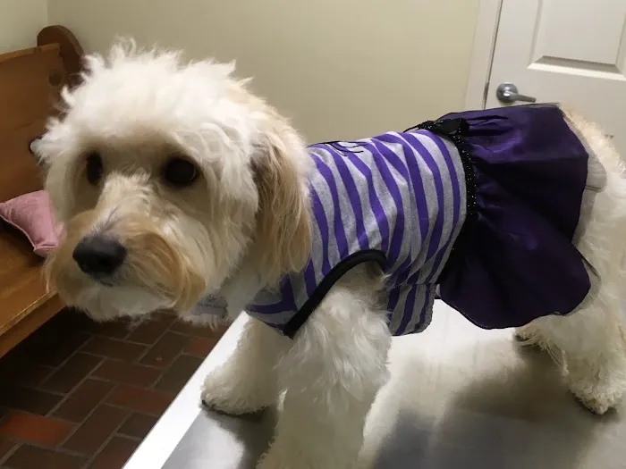 Pet Care Center Chalmette Picture 1