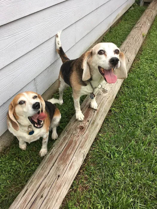 Pet Care Center Chalmette Picture 8