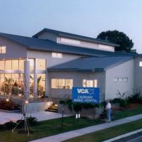 VCA Causeway Animal Hospital ico