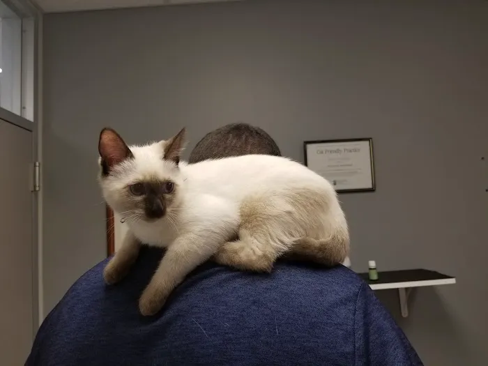 VCA Causeway Animal Hospital Picture 4