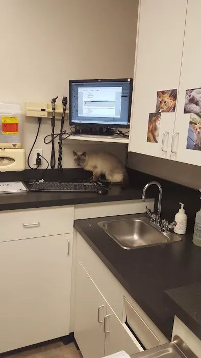 VCA Causeway Animal Hospital Picture 7