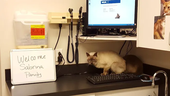 VCA Causeway Animal Hospital Picture 5