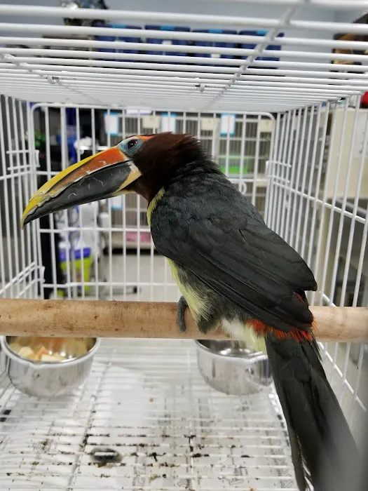 Bronzeville Animal Clinic Picture 1