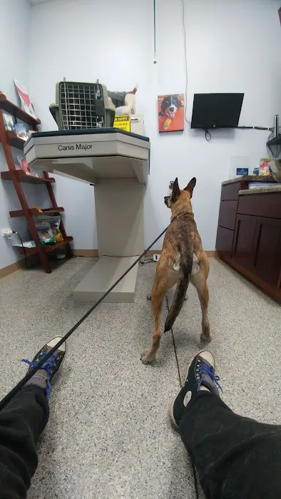 Bronzeville Animal Clinic Picture 6