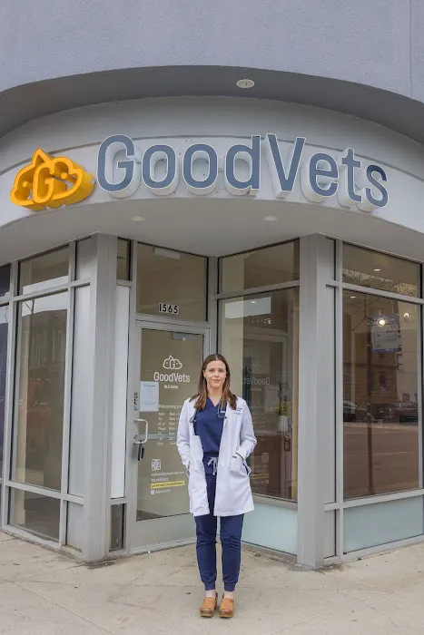 GoodVets Old Town Picture 8