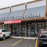 Old Town Animal Care Center ico