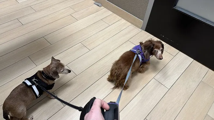Old Town Animal Care Center Picture 7