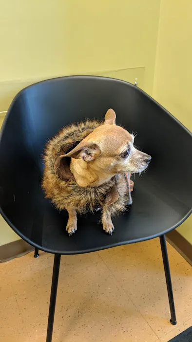 Wicker Park Veterinary Clinic Picture 5