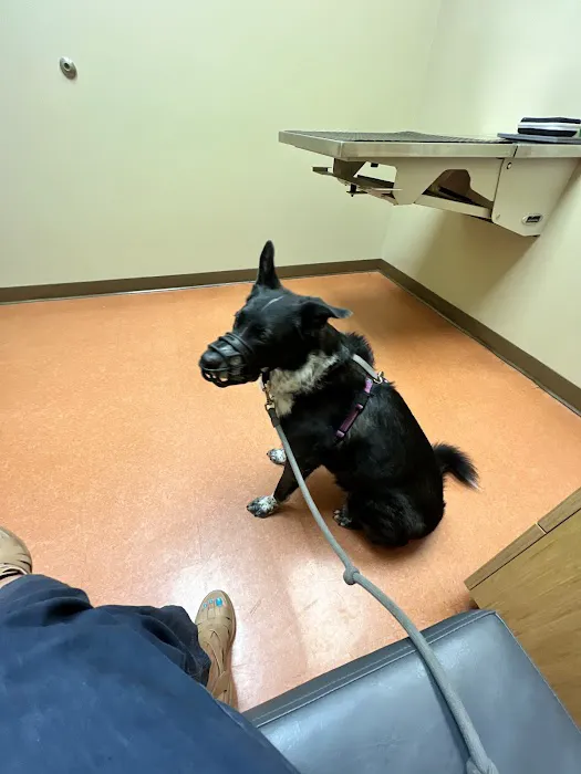 Wicker Park Veterinary Clinic Picture 7
