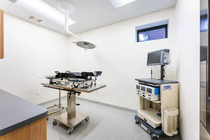 Ukrainian Village Veterinary Center Picture 6