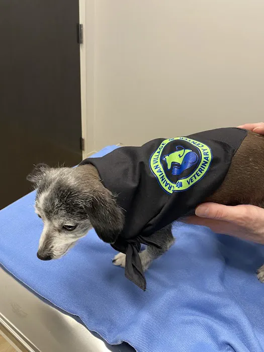 Ukrainian Village Veterinary Center Picture 7