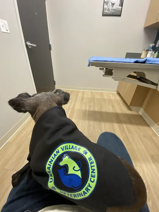Ukrainian Village Veterinary Center Picture 5