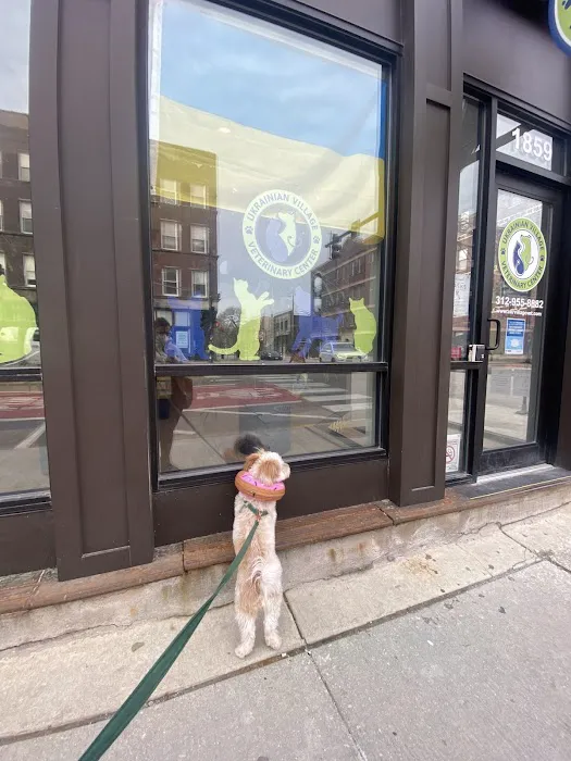 Ukrainian Village Veterinary Center Picture 10
