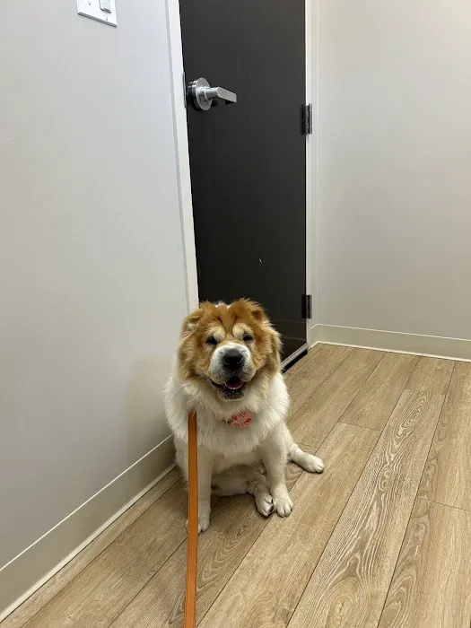Ukrainian Village Veterinary Center Picture 9