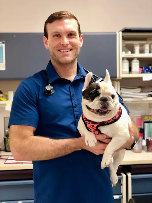 Medical District Veterinary Clinic at Illinois Picture 1