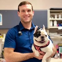 Medical District Veterinary Clinic at Illinois ico